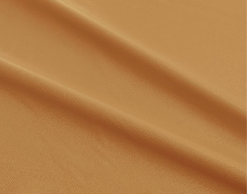 ciervo-new-camel