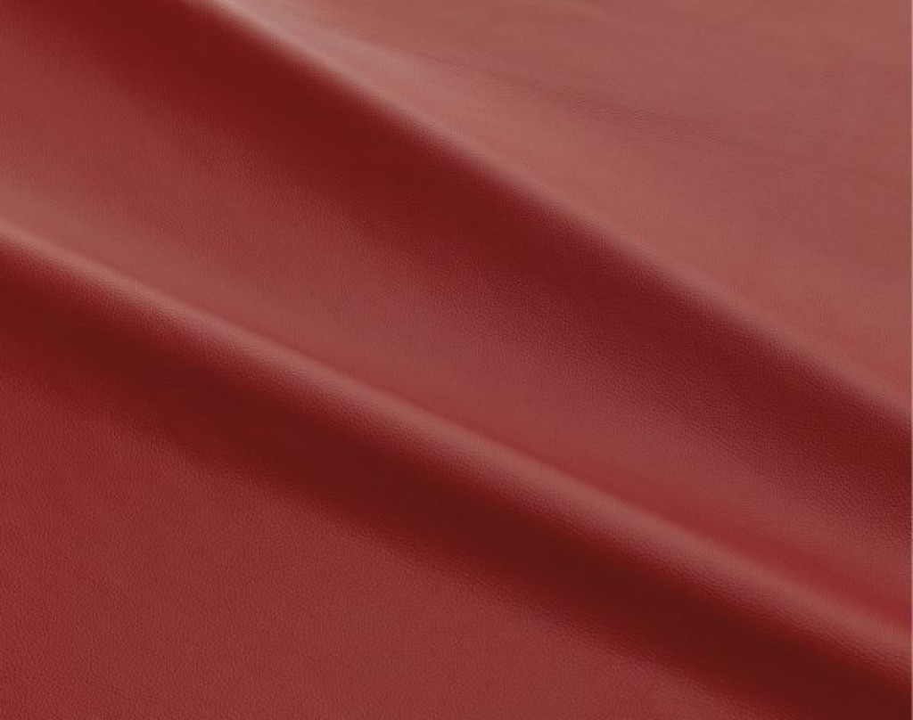 ciervo-rojo