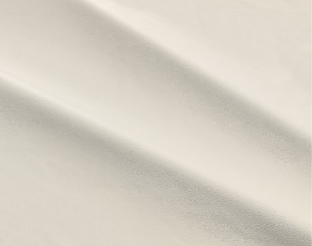 dalmata-001