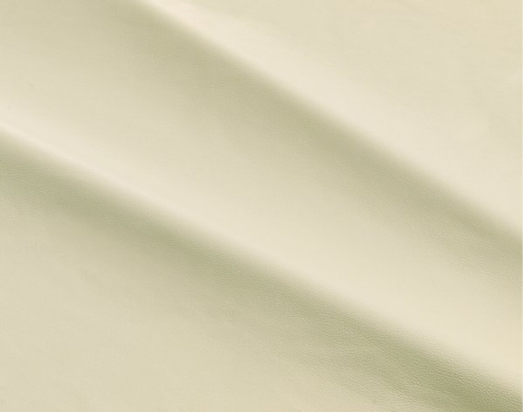 dalmata-006