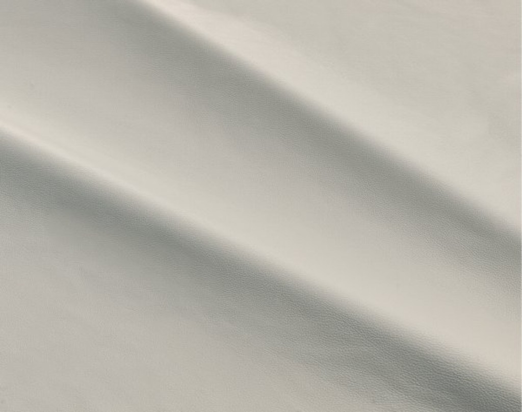 dalmata-008