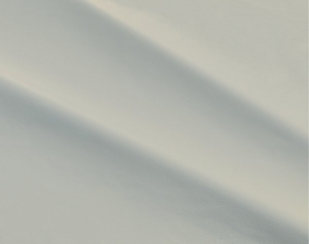 dalmata-011