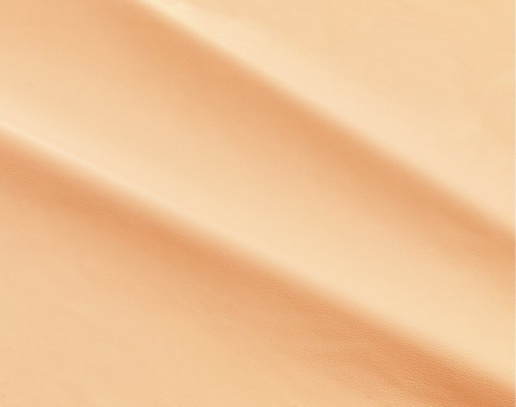 dalmata-044