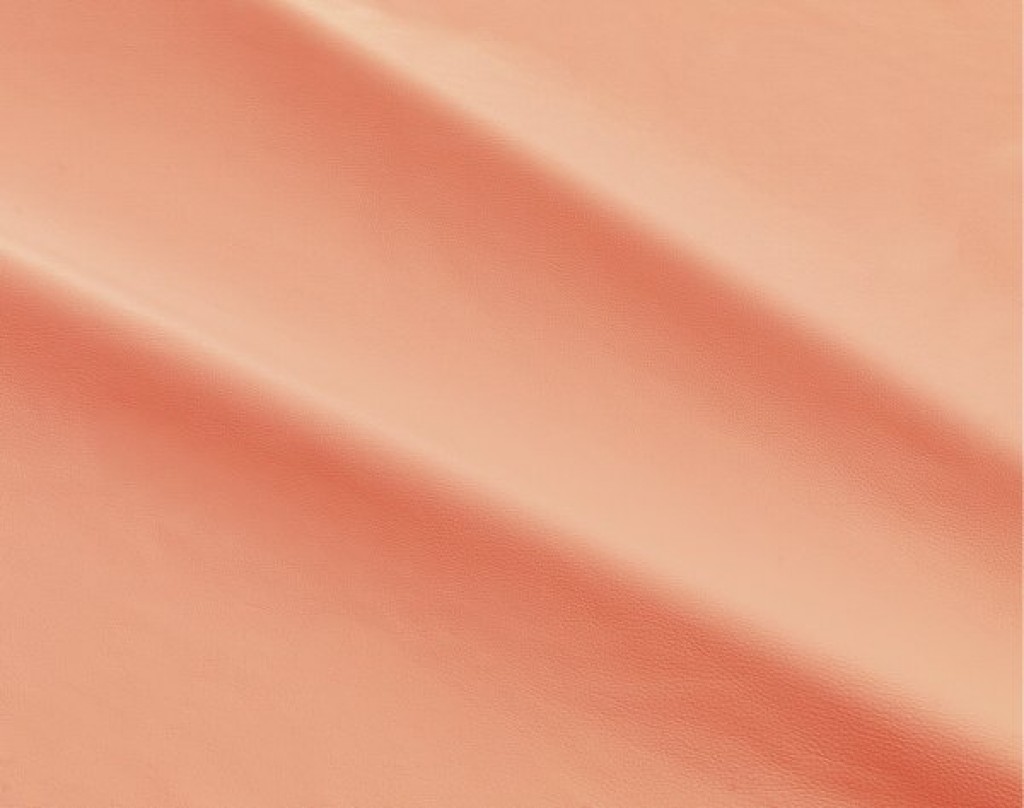 dalmata-045