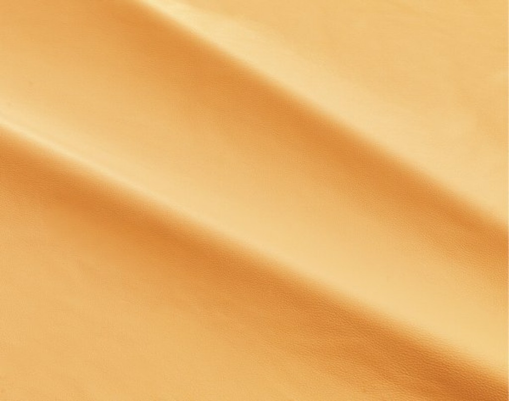 dalmata-056