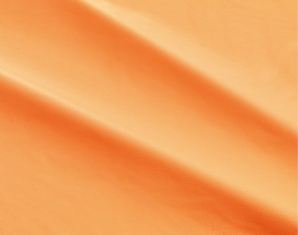 dalmata-057
