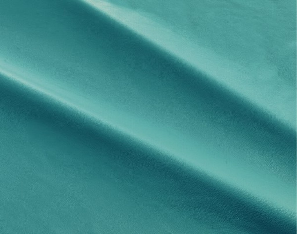 dalmata-065