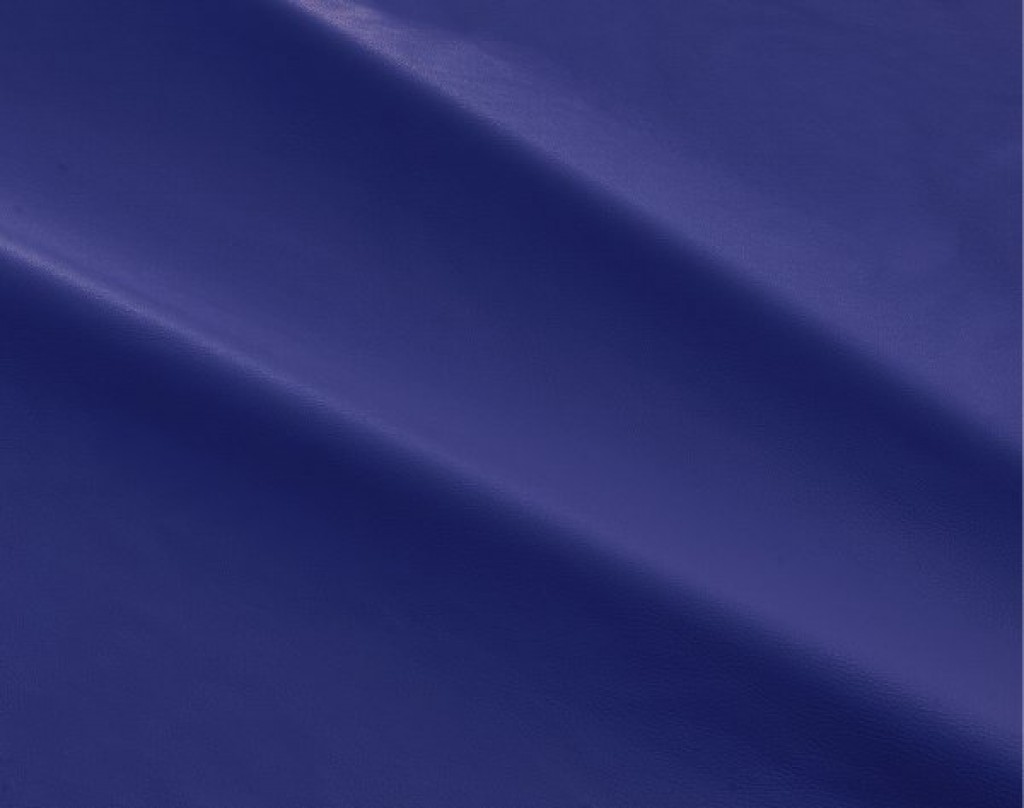 dalmata-066