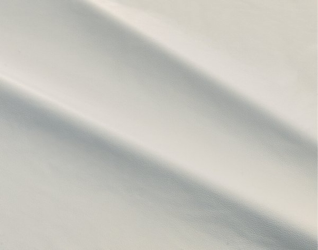 dalmata-067