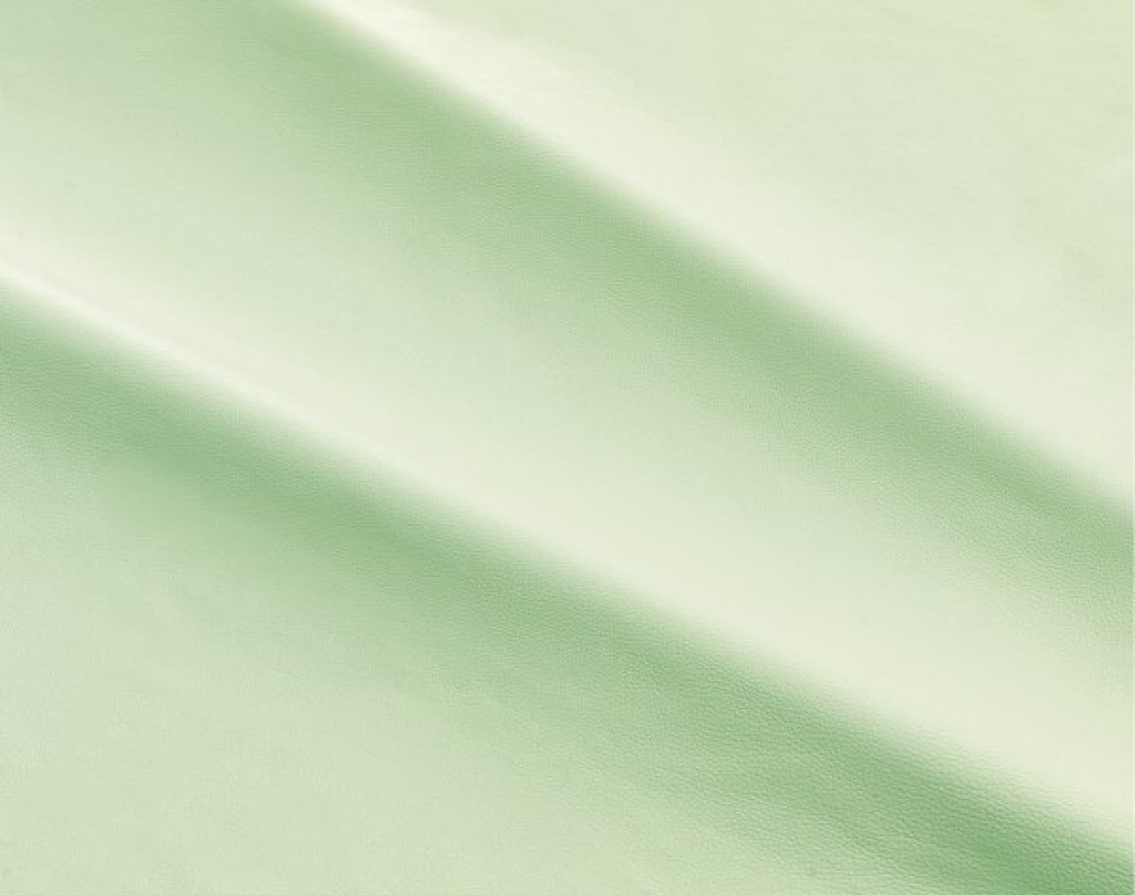 dalmata-077