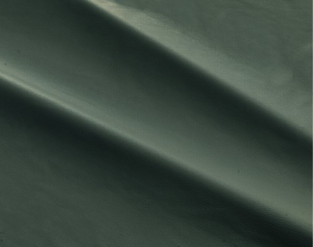 dalmata-081