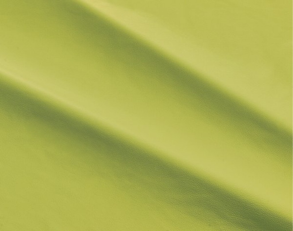 dalmata-087