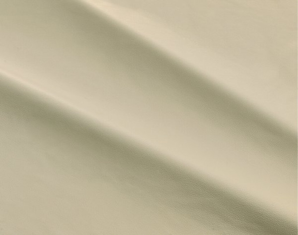 dalmata-090