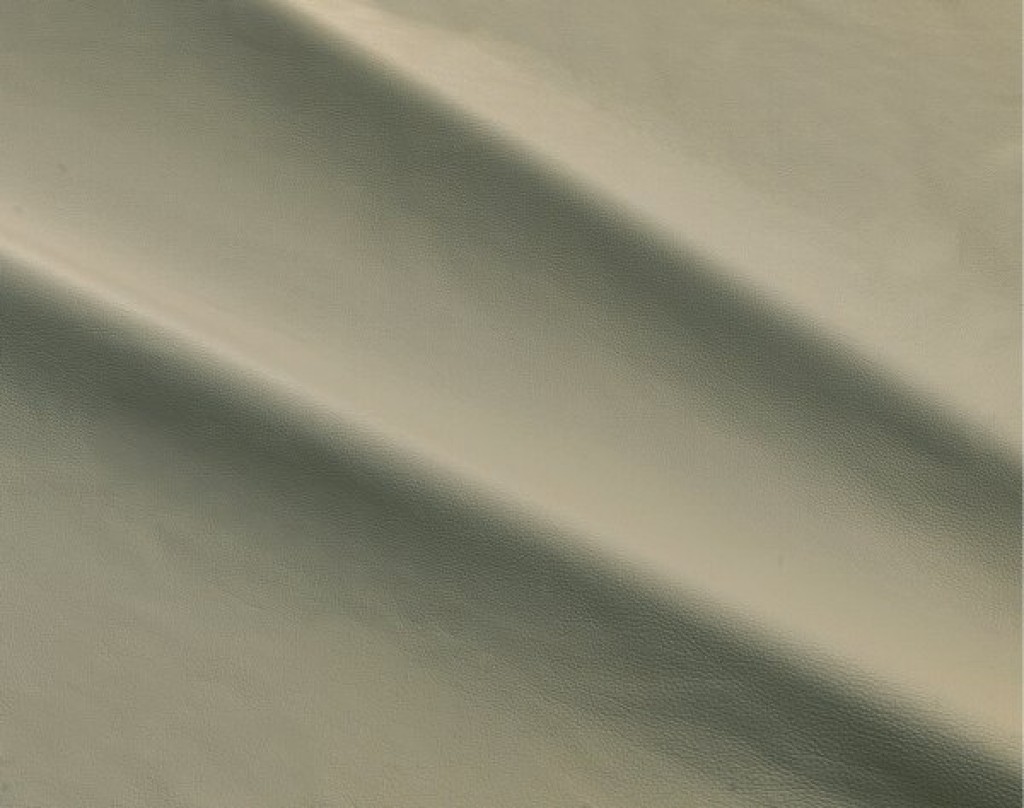 dalmata-091