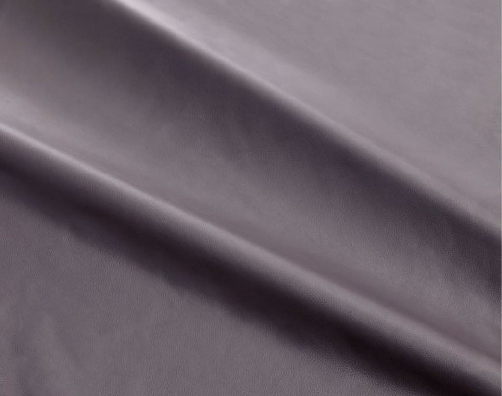 dalmata-100